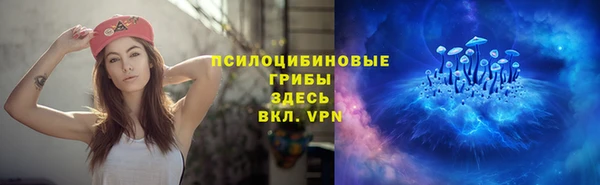 круглые Алзамай