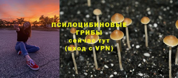 молекула духа Покров