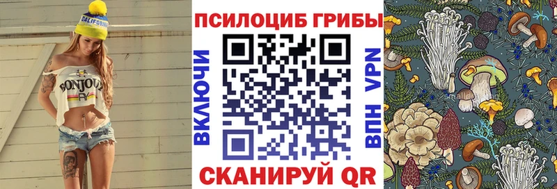 Псилоцибиновые грибы Magic Shrooms  Комсомольск 